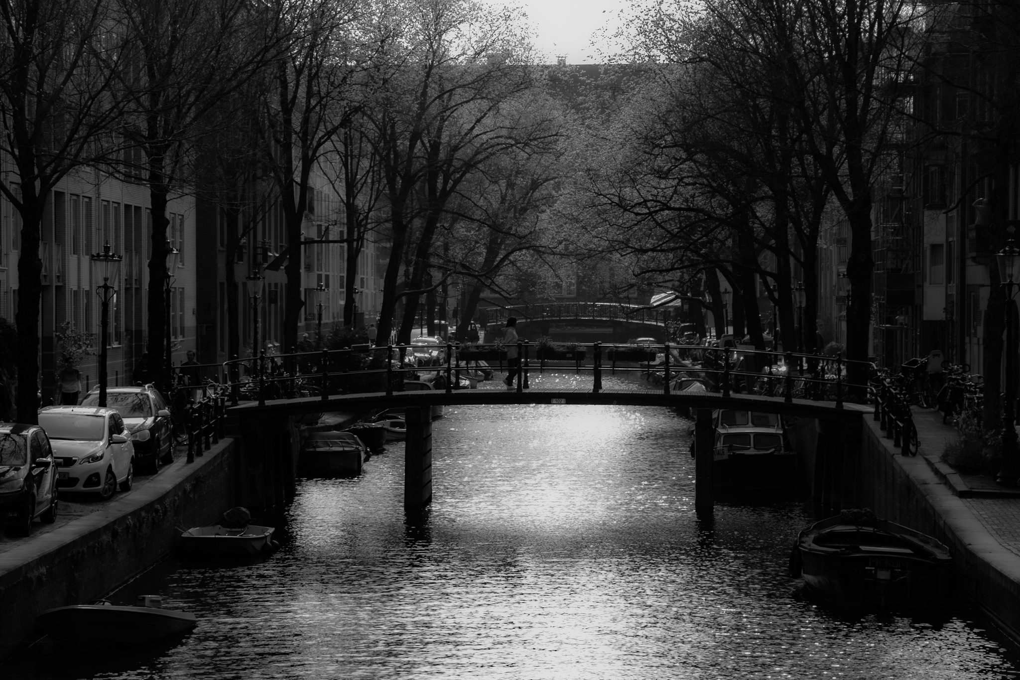 A Bridge in Amsterdam